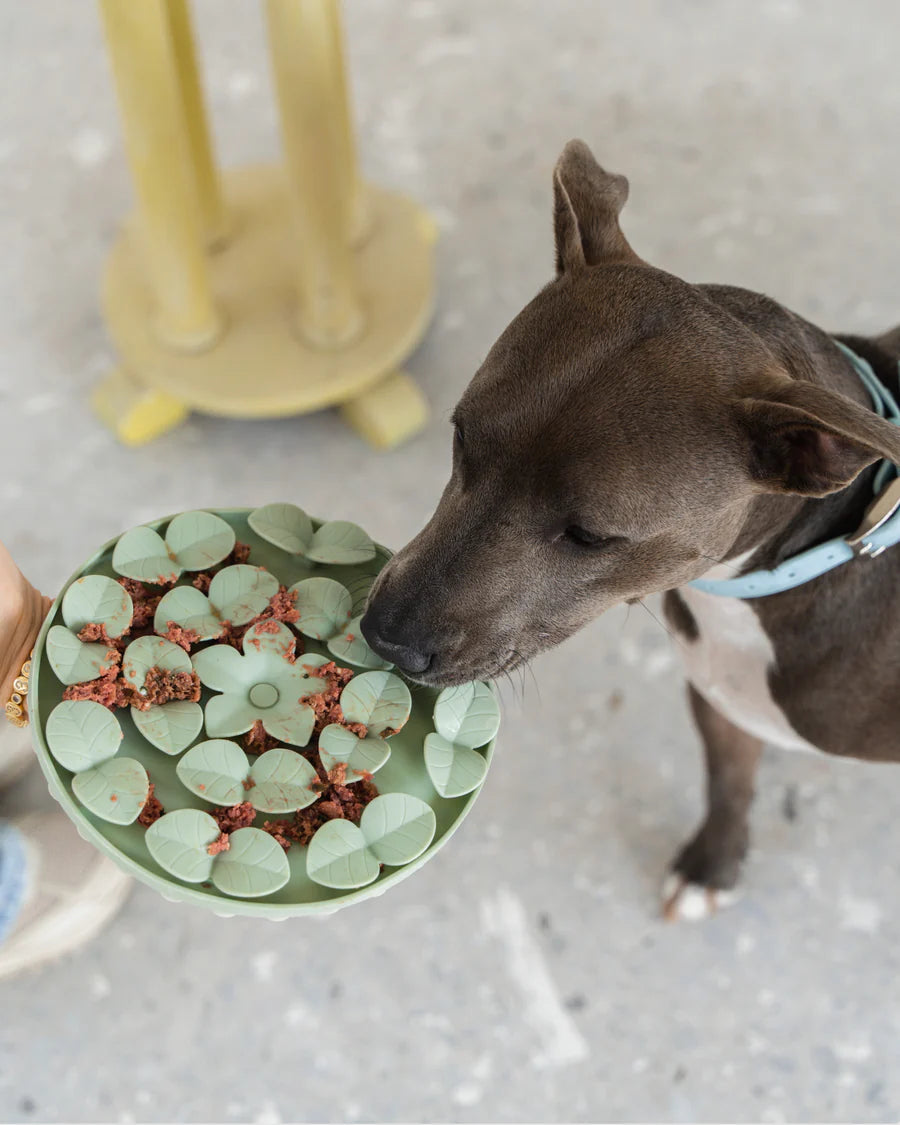 Dexypaws - Dog Snuffle Mat Silicone - SAGE GREEN - 23.5 x 20.5 x 2.5CM (9x8x1in)