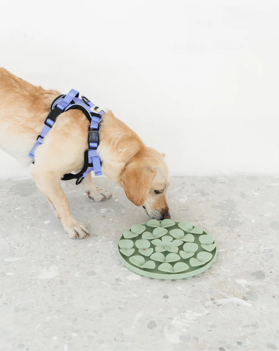 LocalID_65976 Dexypaws - Dog Snuffle Mat Silicone - SAGE GREEN - 23.5 x 20.5 x 2.5CM (9x8x1in)