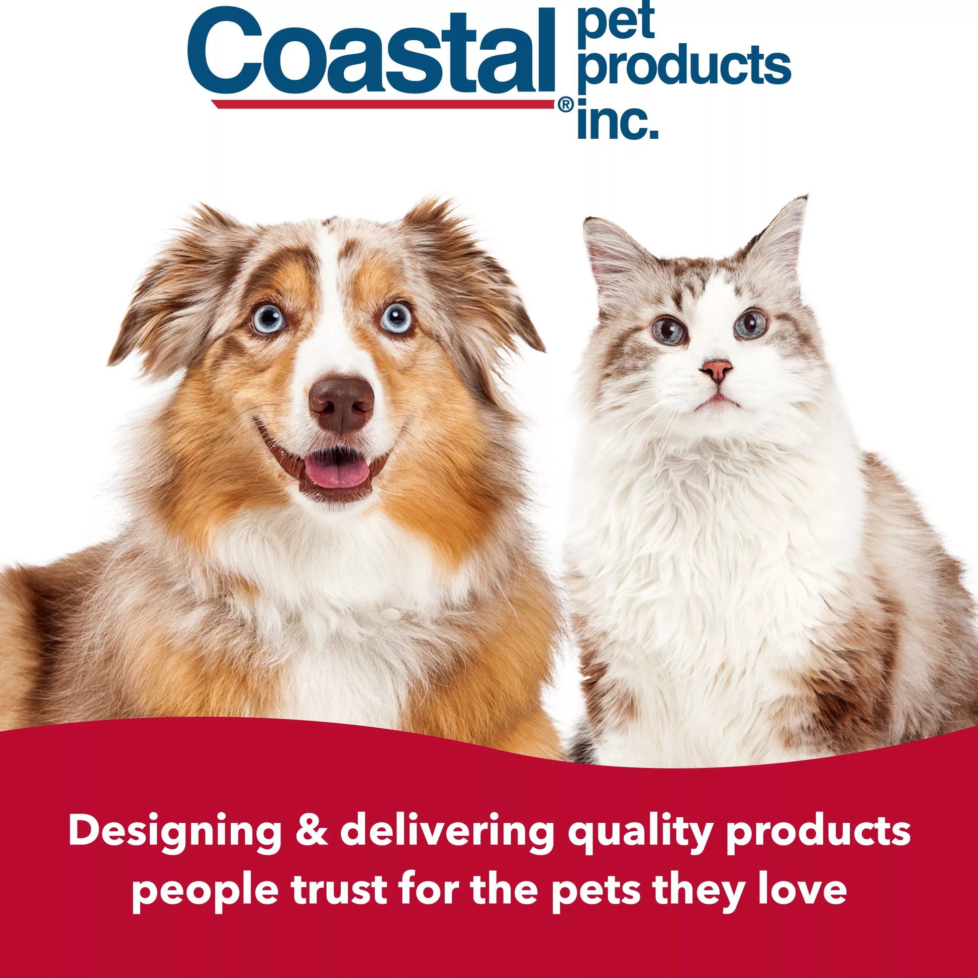 LocalID_71757 Coastal - Complete Dog Brush Longhair Breeds - 17.5CM (7in)