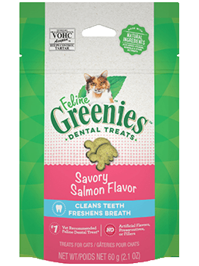 Greenies - Cat Dental SAVORY SALMON Flavour Cat Treats - 60GM (2.1oz)