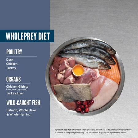 *S.O. - Up to 2 Week Wait* Champion Foods - Orijen GAURDIAN 8 SENIOR Dry Cat Food - 1.8KG (4lb)