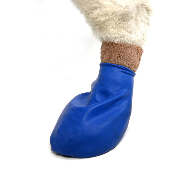 Pawz - Rubber Dog Boots - BLUE - MEDIUM - Up to 7.5CM (3in) - 12PK