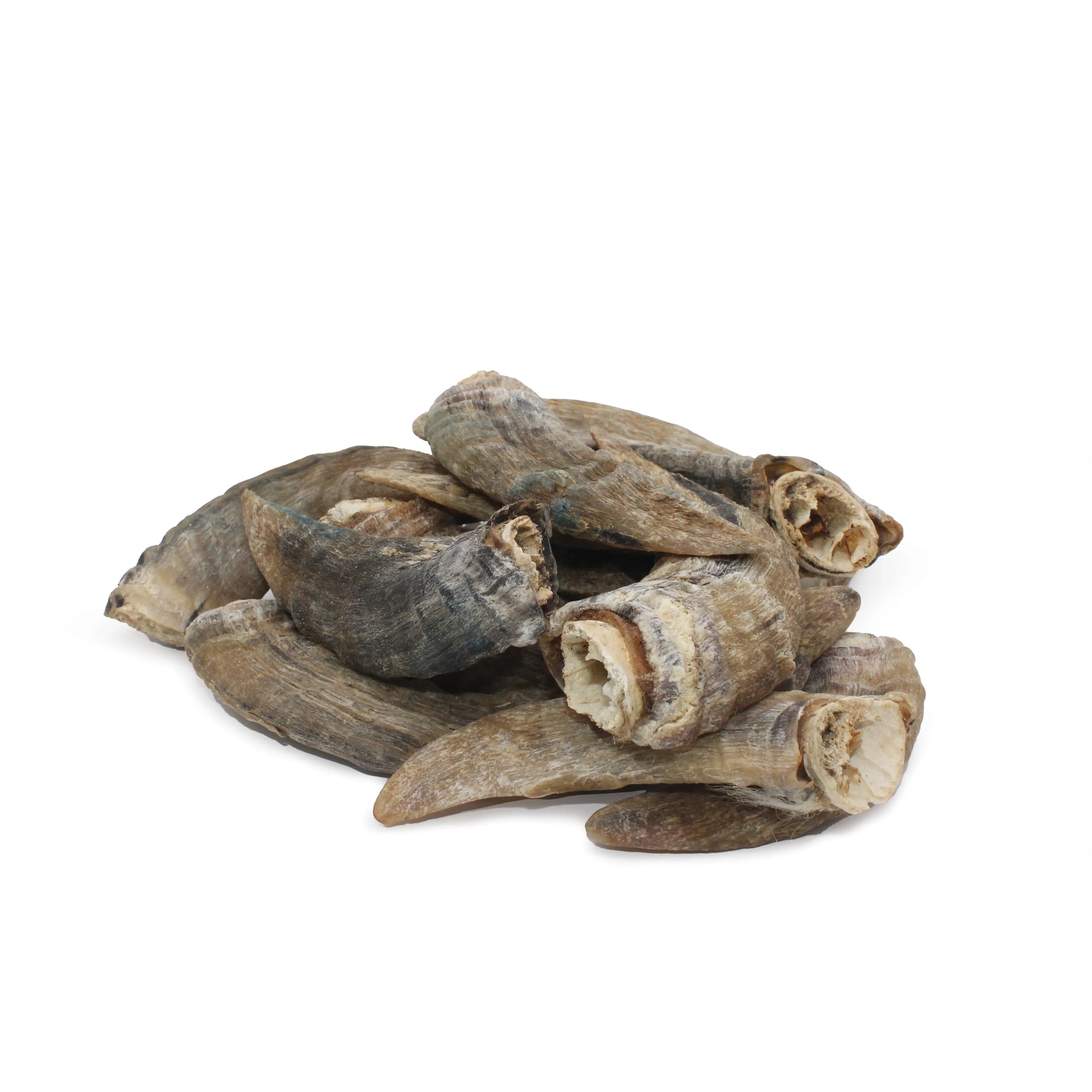 LocalID_68494 Icelandic+ - LAMB Horn with Marrow Dog Chew - SMALL - 10-14CM (4-5.5in)