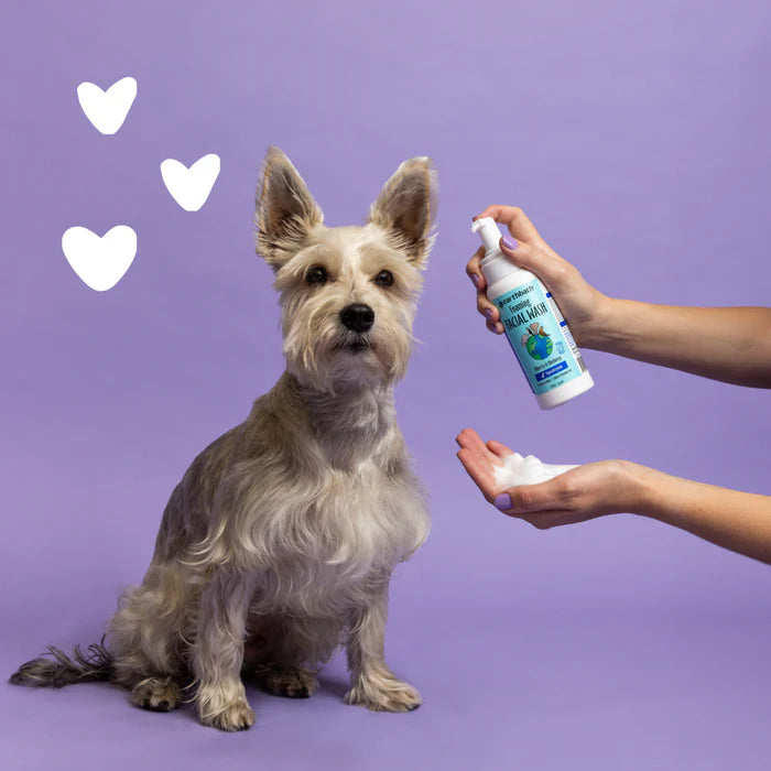 LocalID_70677 Earthbath - Foaming Facial Wash Bilberry & Blueberry for Cats and Dogs - 237ML (8oz)