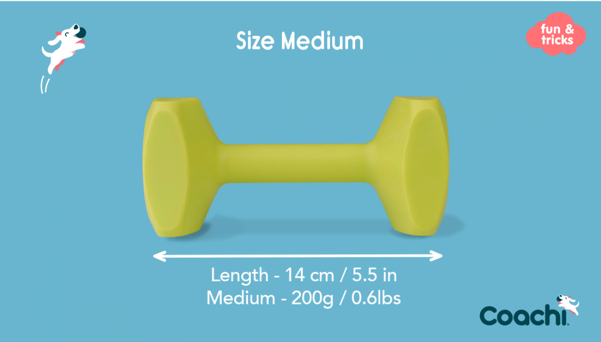 LocalID_70386 Company of Animals - Tricks Training Dumbbell - MEDIUM - 14.5CM (5.75in) Long