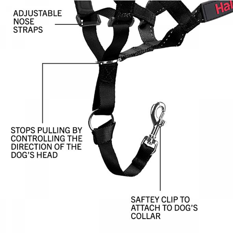 Company of Animals - Halti Nylon Head Collar - BLACK - Size 2