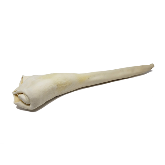 LocalID_64346 Open Range - Beef BULL TAIL FULL LENGTH Dog Chew - 60CM+ (24in+)