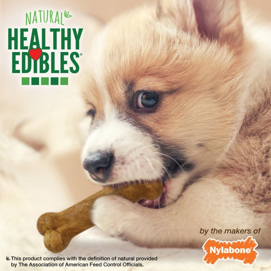 Nylabone - Healthy Edibles Dog Chew LAMB and APPLE Dog Chew - XSMALL - 88GM (3.1oz) - 4PK