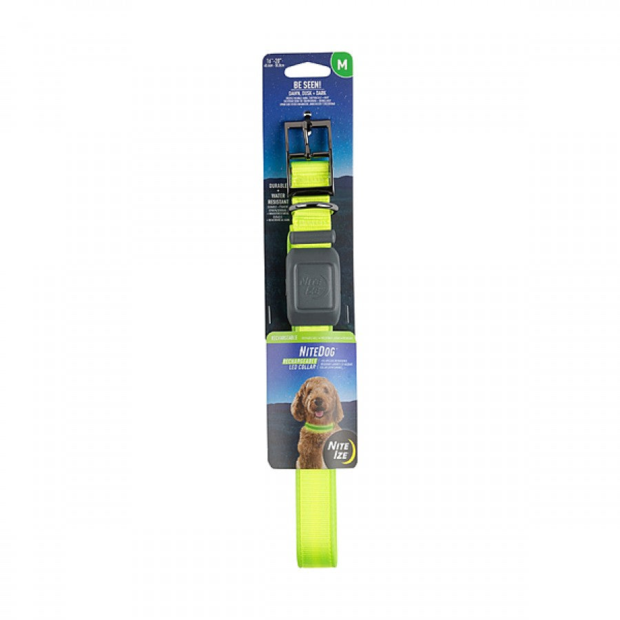 LocalID_66562 Nite Ize - NiteDog Rechargeable LED Collar - LIME - MEDIUM