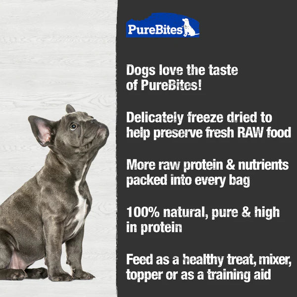 LocalID_68746 Pure Bites - Freeze Dried CHEDDAR CHEESE Dog Treat - 120GM (4.2oz)