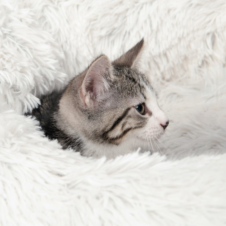 LocalID_64736 Catit - Fluffy Bed - WHITE - 60CM (20in)