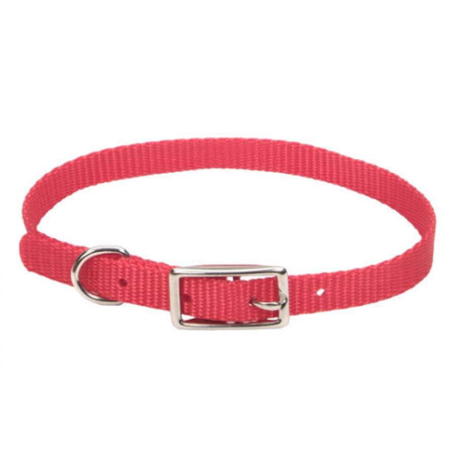 *DISC* Coastal - Standard Buckle Nylon Dog Collar - RED - .4 x 26CM - (3/8 x 10in)