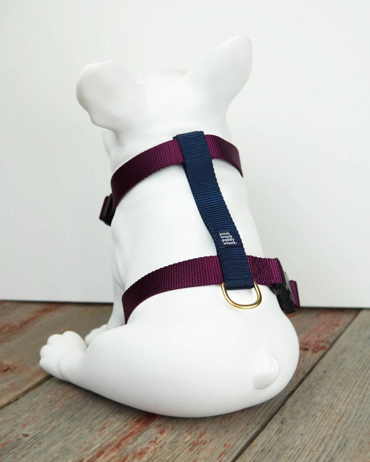 *DISC* Knick Knack Paddy Whack - Dog Harness - PURPLE & NAVY - SMALL - 12-19in