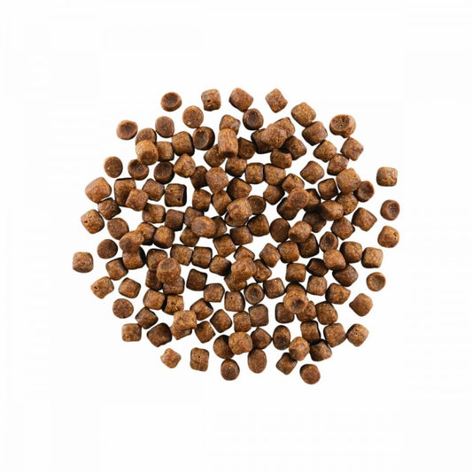LocalID_64891 GO! Carnivore CHICKEN TURKEY DUCK Dry Cat Food - 1.36KG (3lb)