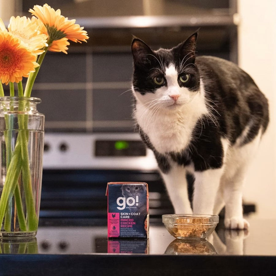 LocalID_65222 Petcurean - GO! Skin and Coat Minced CHICKEN Wet Cat Food - 182GM (6.4oz)