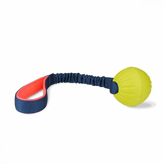 LocalID_71948 Company Of Animals - Coachi - Play Tuggi Ball