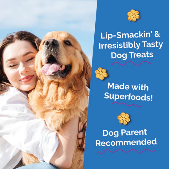 LocalID_71442 Fruitables - PUMPKIN & BLUEBERRY Crunchy Dog Treats - 340GM (12oz)
