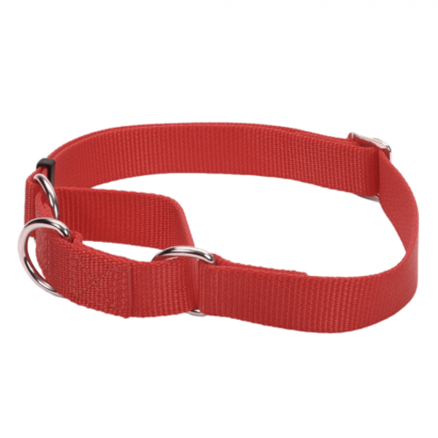 *DISC* Coastal - No Slip Adjustable MARTINGALE Dog Collar - RED - SMALL - 5/8 x 10-14in