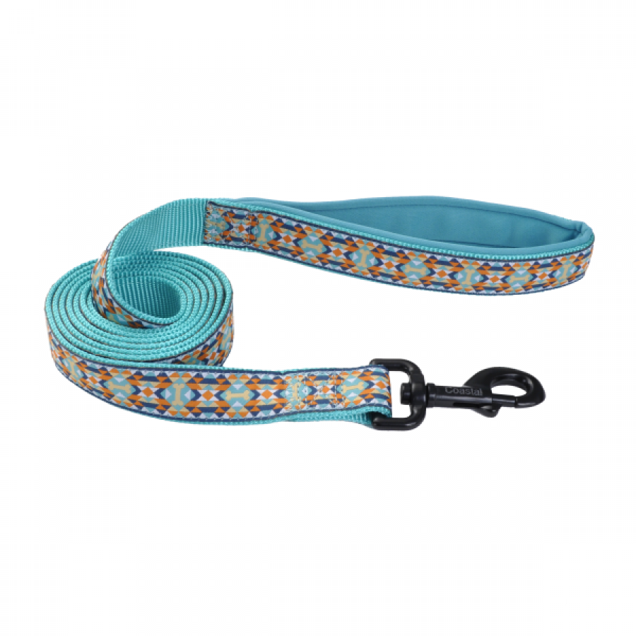 *S.O. - Up to 3 Week Wait* Coastal - Ribbon Weave Neoprene Leash - BONES and TEAL - 1inx6ft