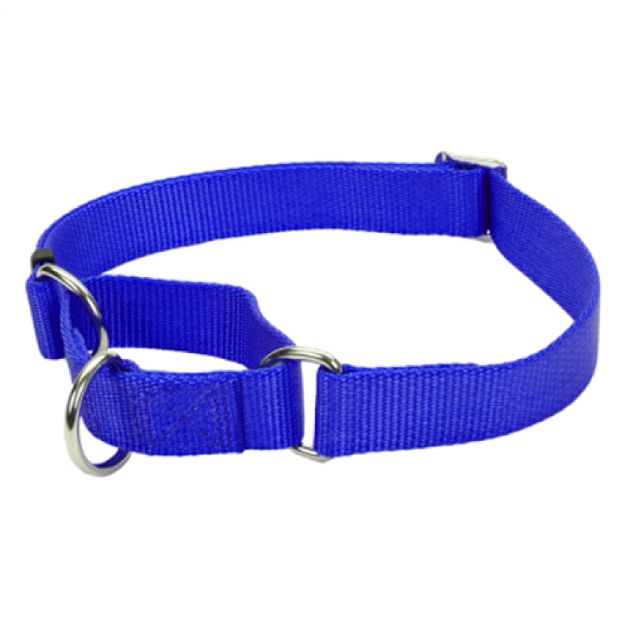 LocalID_43080 Coastal - No Slip Adjustable MARTINGALE Dog Collar - Blue - Small - 5/8 x 10-14in
