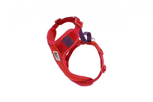 LocalID_71817 RC Pets - Moto Control Harness - GOJI BERRY/BURGUNDY - SMALL