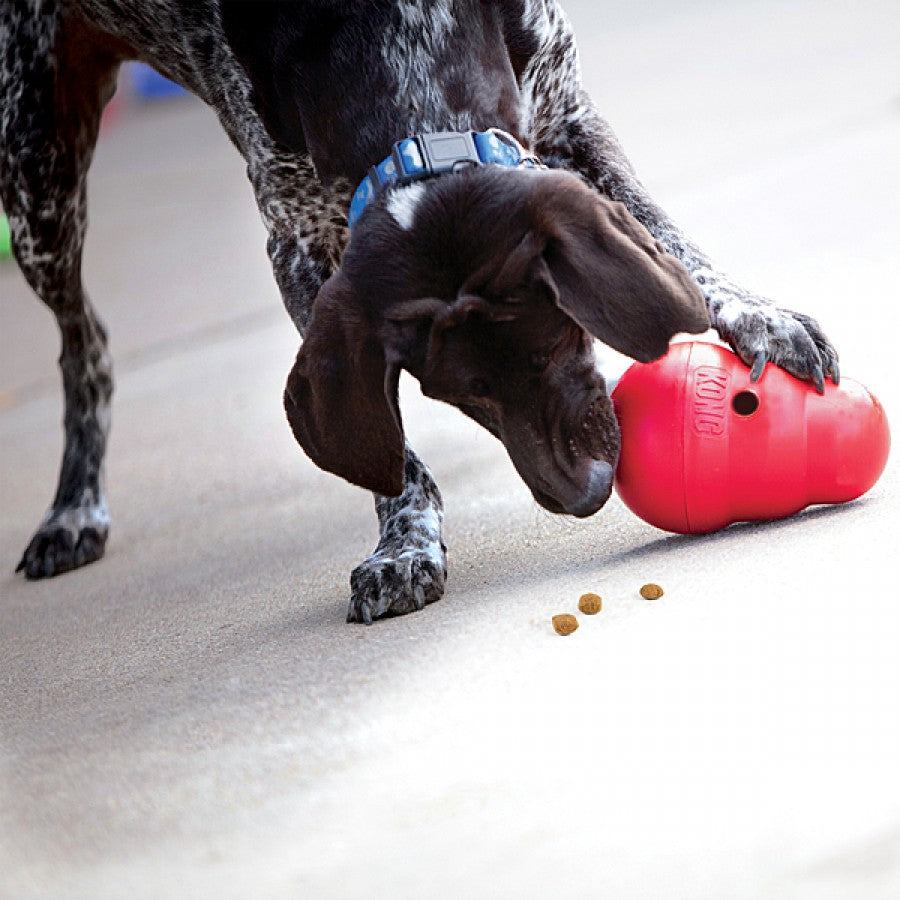 LocalID_69947 Kong - Wobbler Dispenser Dog Treat Toy - LARGE - 19CM (7.5in)