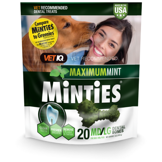 LocalID_69597 VetIQ - Minties Maximum MINT DENTAL Bones Dog Treat - MD/LG - 453GM (16oz) - 20CT