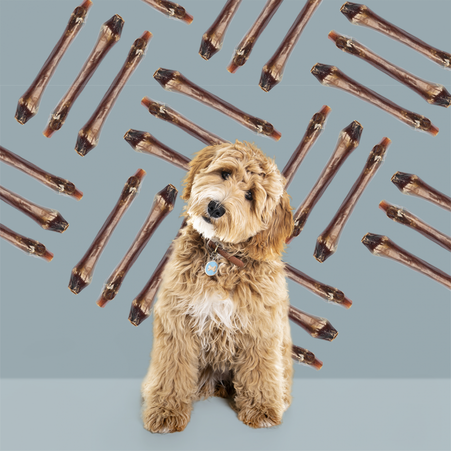 LocalID_68809 Roam - Bucky Busy Bone - Grassland VENISON Dog Chew - 108GM (3.8oz) - 1PC