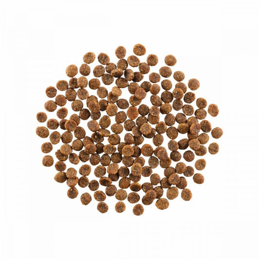 LocalID_64920 Petcurean - GO! Skin and Coat SALMON Dry Cat Food - 1.36KG (3lb)