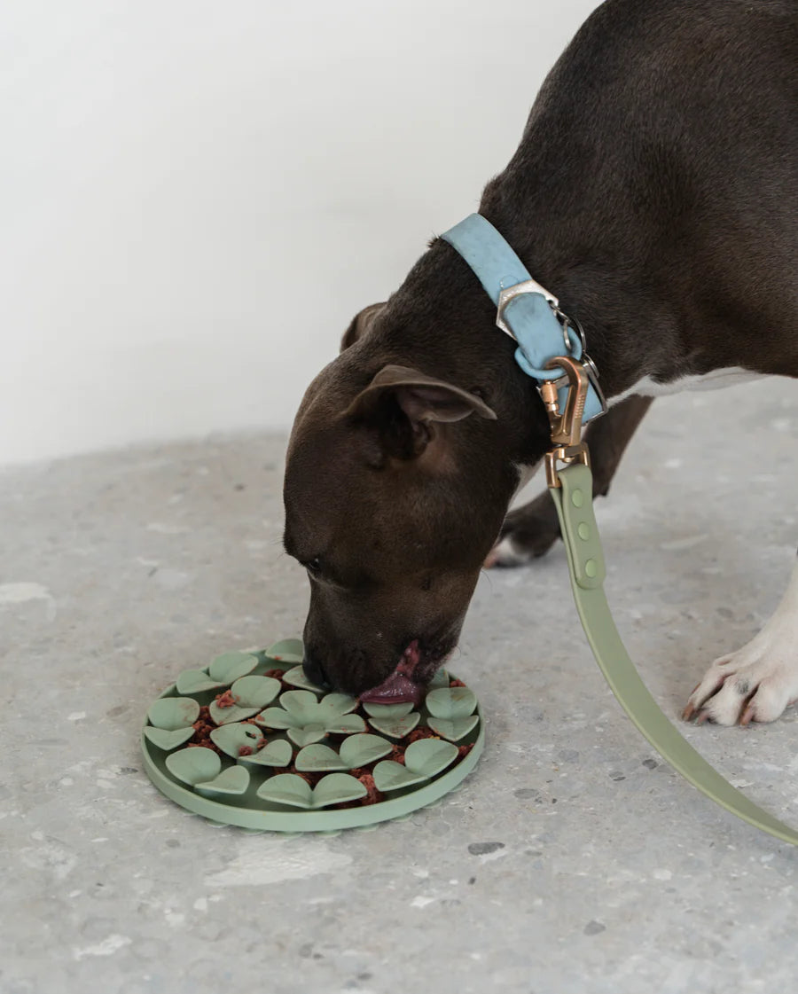 LocalID_65975 Dexypaws - Dog Snuffle Mat Silicone - SAGE GREEN - 23.5 x 20.5 x 2.5CM (9x8x1in)