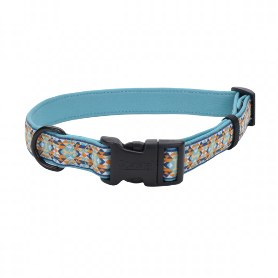 LocalID_48397 Coastal - Ribbon Weave Neoprene Collar Bones/Teal - 1x18-26in