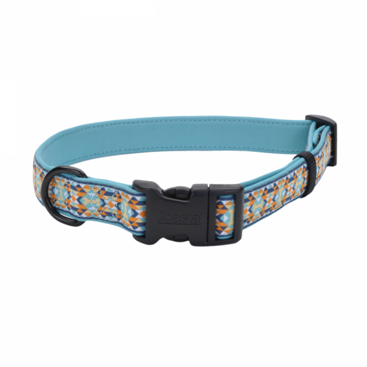LocalID_48397 Coastal - Ribbon Weave Neoprene Collar Bones/Teal - 1x18-26in