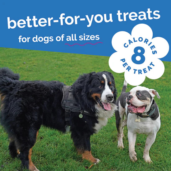 LocalID_71440 Fruitables - PUMPKIN & BLUEBERRY Crunchy Dog Treats - 340GM (12oz)