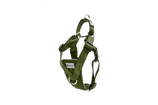 RC Pets - Tempo No-Pull Harness - HEATHER OLIVE - MEDIUM - 50.8 x 71.1CM (20x28in) Girth