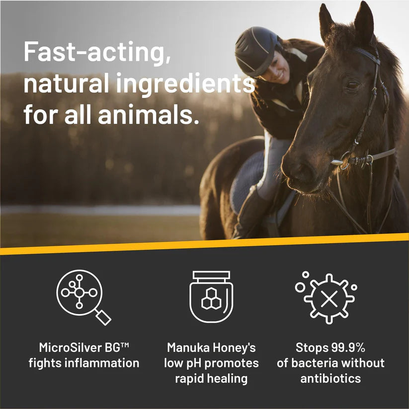 LocalID_70650 Absorbine - Silver Honey Wound Care Ointment - 56.7GM (2oz)