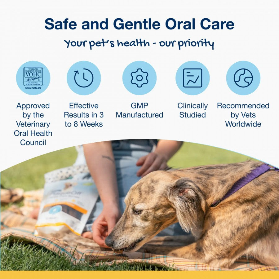 LocalID_69585 ProDen - PlaqueOff Dog Mini Dental Care Bones VEGETABLE and BLUEBERRY Dog Chew - 340GM