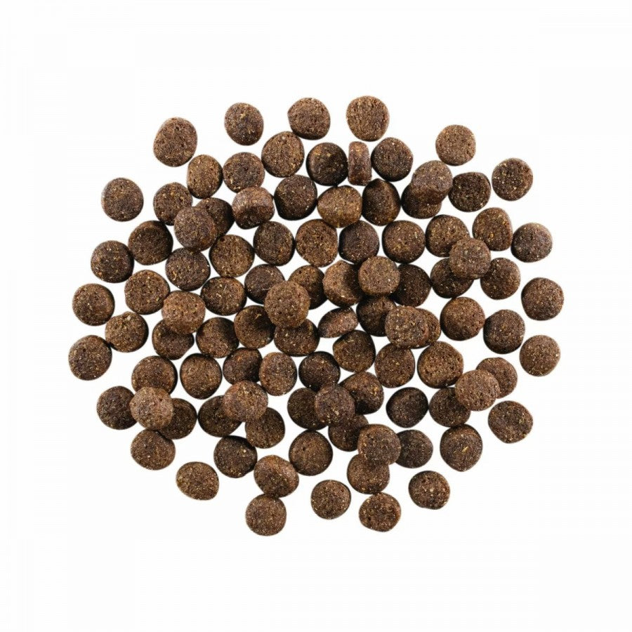 LocalID_66614 Petcurean - GO! Skin and Coat LAMB Dry Dog Food - 5.44KG (12lb)