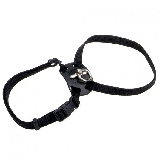 *DISC* Coastal - Size Right Adjustable Cat Harness - BLACK - 1 x 30-46CM (3/8inx12-18in)