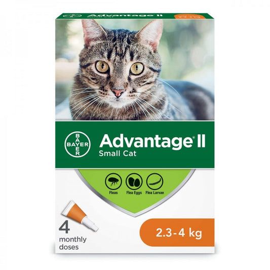 Bayer - Advantage® II Small Cat Once-A-Month Topical Flea Treatment - 2.3 to 4KG - 4 Doses