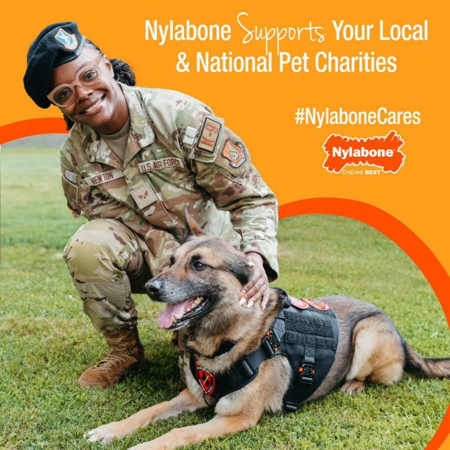 LocalID_69360 Nylabone - Healthy Edibles WILD BISON Dog Chew - LARGE - 16.5CM (6.5in)