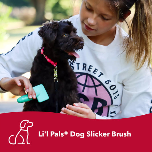 LocalID_70570 Coastal - Lil Pals Slicker Brush Coated Tips