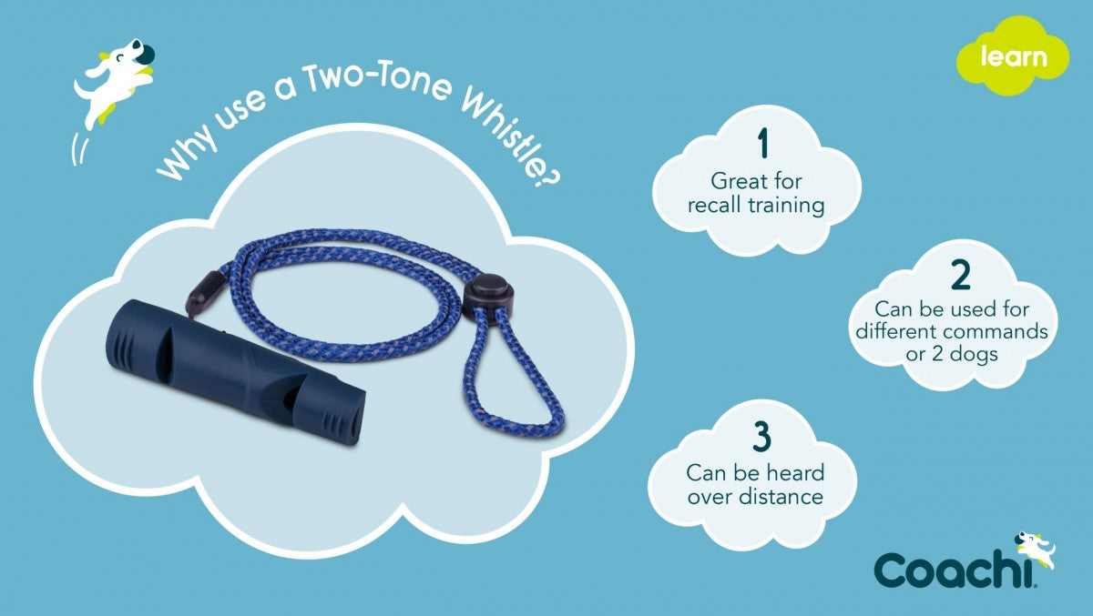LocalID_70326 Company of Animals - Coachi - Learn Two-Tone Whistle - NAVY - 9CM (3.5in)