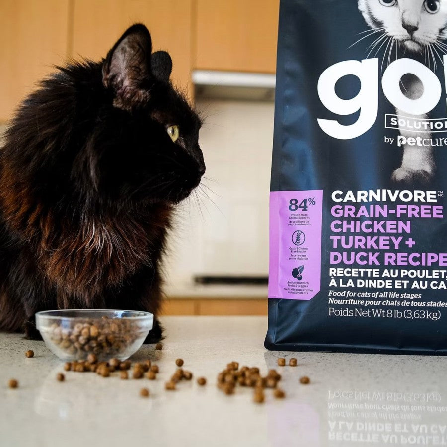 LocalID_64892 GO! Carnivore CHICKEN TURKEY DUCK Dry Cat Food - 1.36KG (3lb)