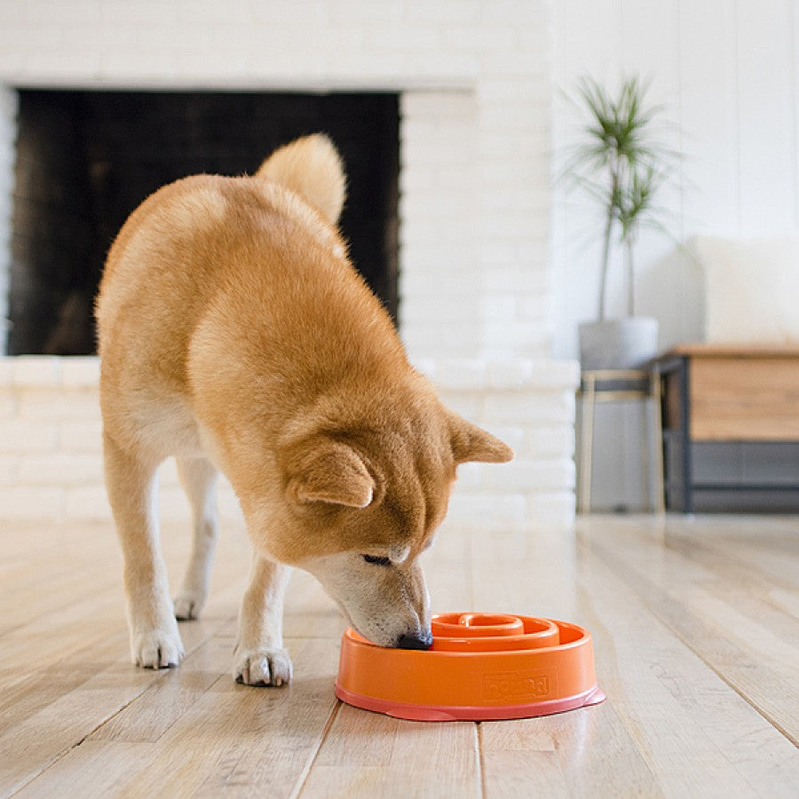 Outward Hound - Fun Feeder Coral - ORANGE - MEDIUM - 21CM (8.3in)