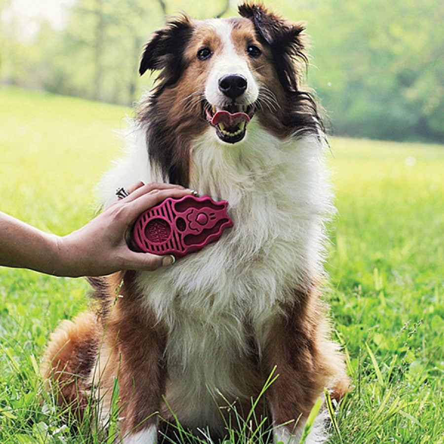 LocalID_70633 KONG - Zoom Groom Soft Dog Curry Brush - RASPBERRY - 12CM (4.7in)