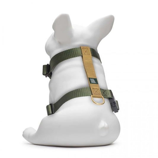 LocalID_55631 Knick Knack Paddy Whack - Olive & Gold Harness - Medium 14-25in