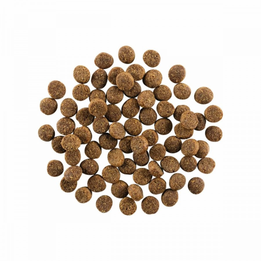 LocalID_67809 Petcurean - GO! Skin and Coat SALMON Dry Dog Food - 5.44KG (12lb)