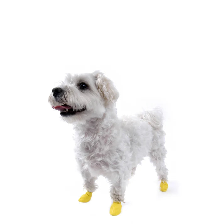 Pawz - Rubber Dog Boots - YELLOW - XXSMALL - Up to 4CM (1.5in) - 12PK