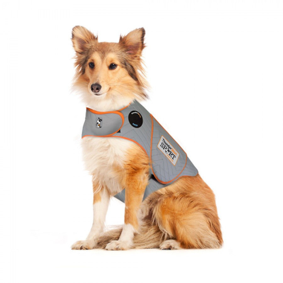 LocalID_35262 Thunderworks - Thundershirt - Sport Platinum Anxiety Solution for Dogs - Large