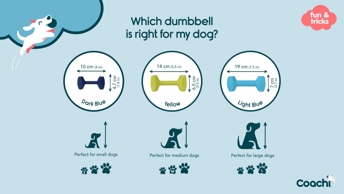 LocalID_70388 Company of Animals - Tricks Training Dumbbell - MEDIUM - 14.5CM (5.75in) Long